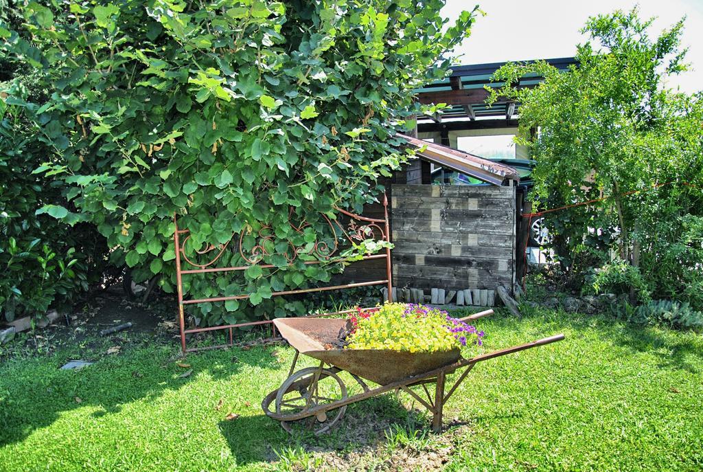 La Corte Del Macero Guest House Castelfranco Emilia Exterior photo